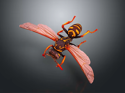 Wasp With Yellow And Black Striped Body Red Legs And Transparent Wings On Dark Background 3d model
