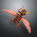Wasp With Yellow And Black Striped Body Red Legs And Transparent Wings On Dark Background