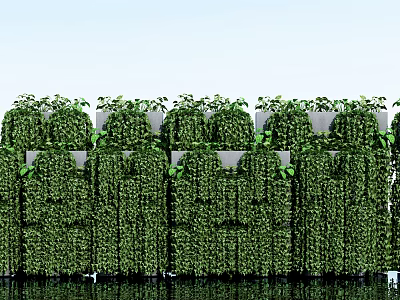Green Vines Covering Wall Structure With Lush Leaves Creating Natural Green Screen 3d model