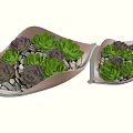 Potted Bonsai Plants with Green and Purple Succulents in Shallow Brown Containers and Small Stones