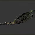 Detailed 3D Terrain Model Showcasing Natural Landscape With Green Vegetation And Varied Landforms