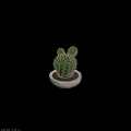Green Cactus Plant With Spines In Concrete Pot For Home Decoration