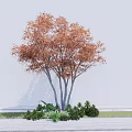 Orange Red Leaf Tree with Gray Trunks Surrounded by Small Green Shrubs in Garden 3d model