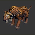 Modern tiger fierce tiger downhill tiger 3d model