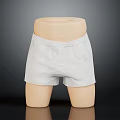 White Shorts Displayed On Mannequin With Simple Design And Dark Background Setting 3d model