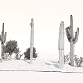 Green Shrubs and Tall Cacti as Bonsai Plants in Desert Sand Landscape