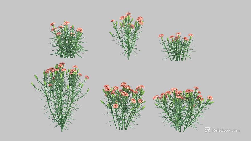 Collection of Pink Carnations with Green Stems in Different Poses 3d model 