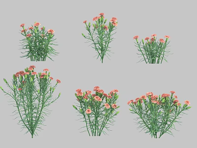 Collection of Pink Carnations with Green Stems in Different Poses 3d model