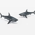 Two Realistic Aquatic Animal Shark Models With Lifelike Pose And Detailed Features