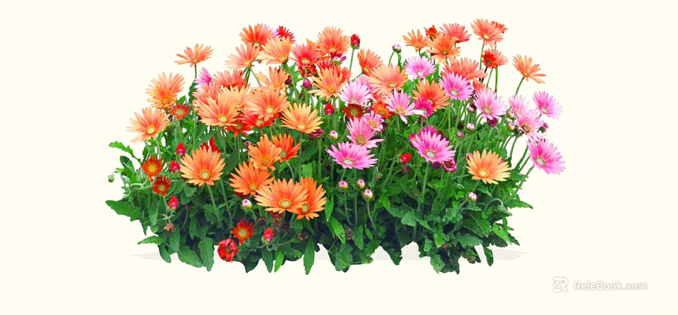 Vibrant Colorful Garden Flowers With Orange Pink Blooms And Green Leaves 3d model 