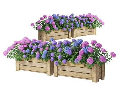 Potted Plants in Wooden Planters with Purple and Blue Hydrangeas and Lush Foliage 3d model