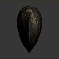 Shell Cartoon Pearl Pink Red Shell Mussel Clam Freshwater Pearl Seawater Pearl Nanyang Pearl 3d model