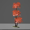 Ornamental Red Maple Tree With Vibrant Red Leaves And Multiple Branches On Circular Base 3d model