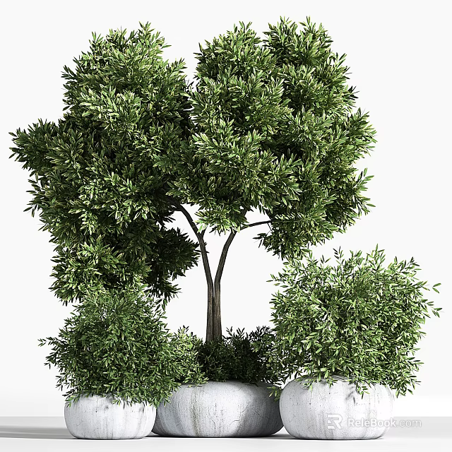 Lush Green Bonsai Potted Plants With Dense Foliage And Various Sizes 3d model 