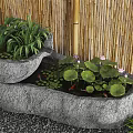 Natural Stone Pond With Water Lilies Lily Pads Goldfish And Bamboo Fence