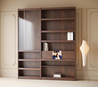 Middle Style Bookcase 3d model