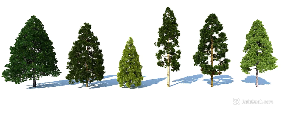 Arbor Trees Of Different Types With Green Foliage And Sunlight Shadows 3d model 