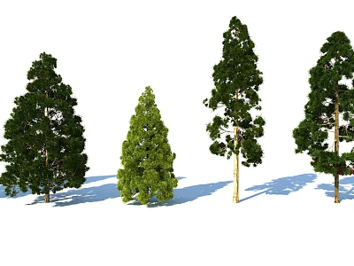 Arbor Trees Of Different Types With Green Foliage And Sunlight Shadows 3d model