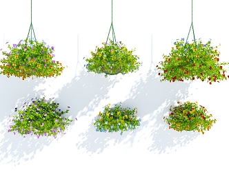 Modern hanging basket potted plant 3d model