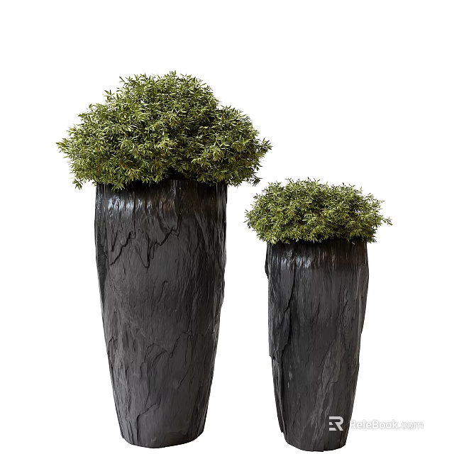 Two Decorative Bonsai Plants in Black Textured Pots with Green Lush Foliage 3d model 