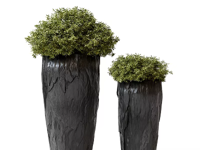 Two Decorative Bonsai Plants in Black Textured Pots with Green Lush Foliage 3d model