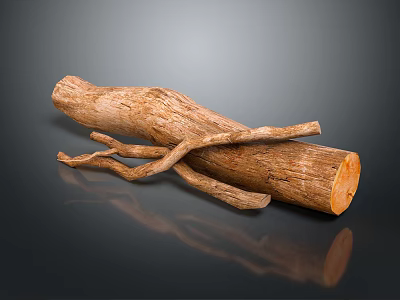 Natural Wood and Stone Material with Raw Texture and Organic Branch Extensions 3d model