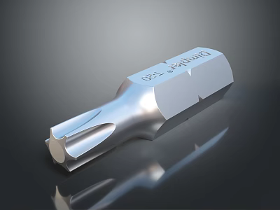 INGCO T50 Torx Screwdriver Bit Chrome Vanadium Steel Professional Durable Tool 3d model