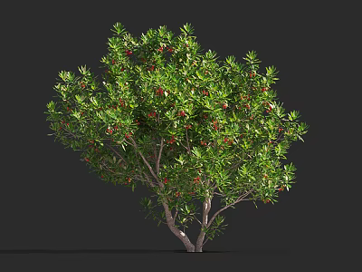 Lush Arbor With Green Leaves And Red Fruits On Brown Trunk 3d model