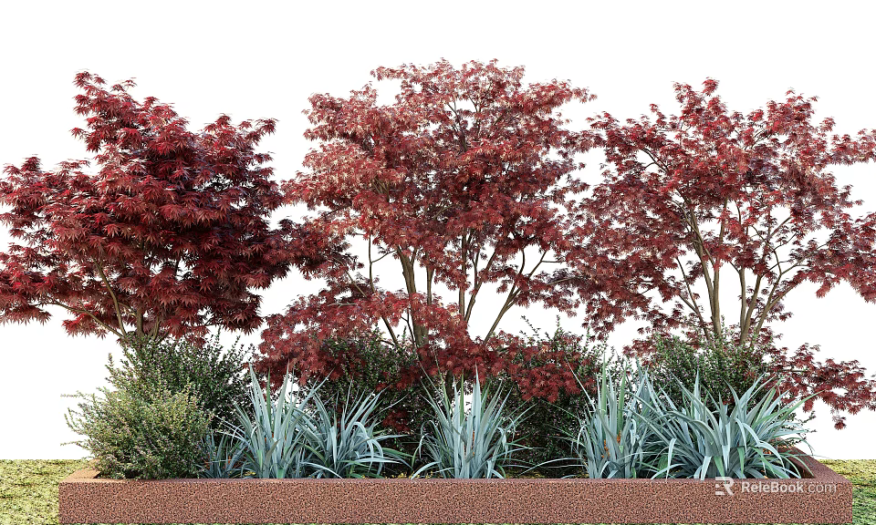 Ornamental Trees With Red Foliage And Green Companion Plants In Garden Landscape 3d model 