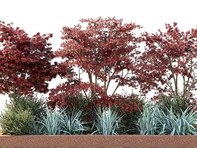 Ornamental Trees With Red Foliage And Green Companion Plants In Garden Landscape 3d model