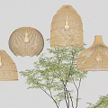 Woven Pendant Lights in Different Shapes with Green Plant and Light Background Wall
