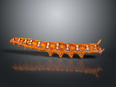 Orange Caterpillar with White and Brown Spots Shiny Surface on Smooth Surface and Reflection 3d model