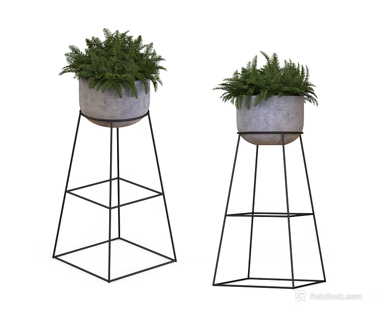 Green Fern Potted Bonsai Plants in Gray Pots on Black Metal Stands 3d model 