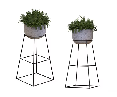 Green Fern Potted Bonsai Plants in Gray Pots on Black Metal Stands 3d model