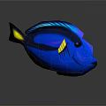 Blue Fish With Yellow Fins Black Eyes And Vibrant Coloration