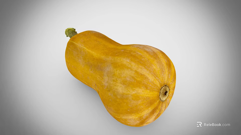 Fresh Yellow Squash with Green Stem and Natural Surface Texture on Gray Background 3d model 