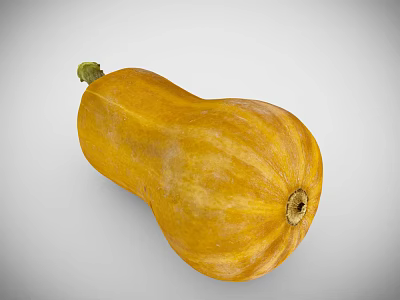 Fresh Yellow Squash with Green Stem and Natural Surface Texture on Gray Background 3d model