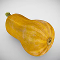 Fresh Yellow Squash with Green Stem and Natural Surface Texture on Gray Background