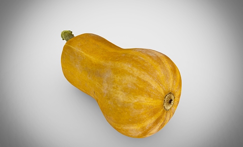 Modern Pumpkin 3d model