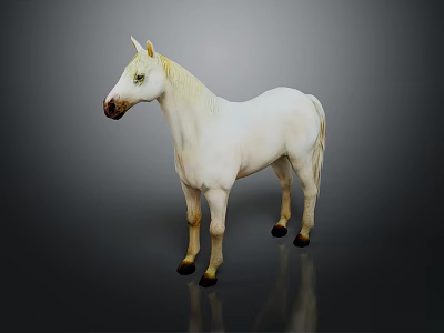 White Horse Standing Against Dark Background With Clear Reflection On Shiny Surface 3d model