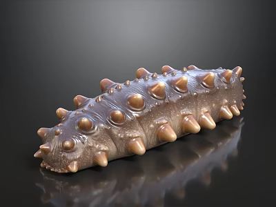 Realistic 3D Sea Cucumber Model With Brown Spikes On Black Background 3d model
