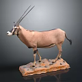 Light Brown Oryx Taxidermy Mount With Long Horns Rock Base