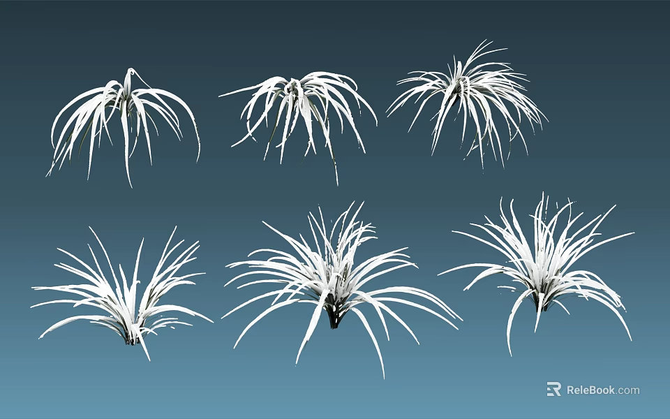 Six Decorative Feathery White Grass Plants Design on Blue Background 3d model 