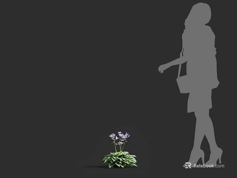 Silhouette of Woman Walking Towards Purple Flowers With Green Leaves on Dark Background 3d model 