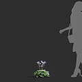 Silhouette of Woman Walking Towards Purple Flowers With Green Leaves on Dark Background