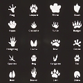 2D Animal Footprints Cat Dog Bird Poultry Paw Black and White Silhouette 3d model