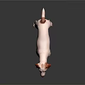 White Dog With Brown Ears Standing On Dark Floor With Reflection