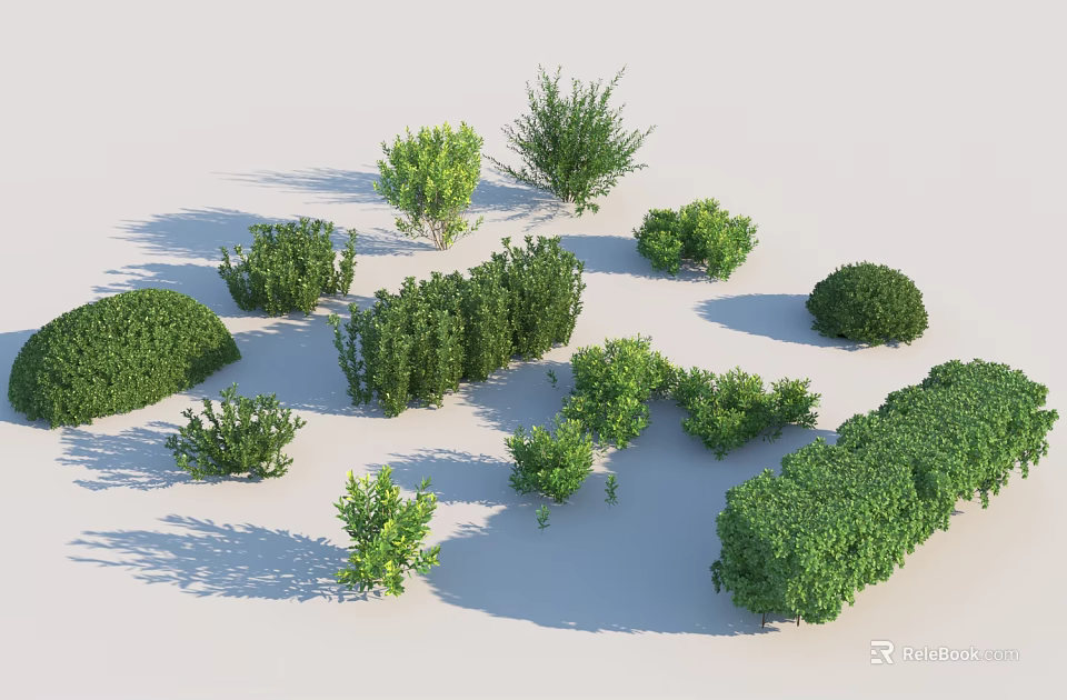Various Green Shrubs with Different Sizes and Shapes for Garden Landscape Design 3d model 