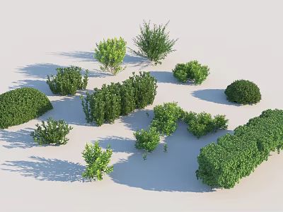 Various Green Shrubs with Different Sizes and Shapes for Garden Landscape Design 3d model