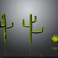Green Cacti With Pink Flowers Including Large And Small Sizes On Reflective Surface